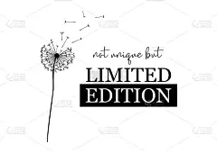 装饰限量版文字与蒲公英矢量时尚印花设计