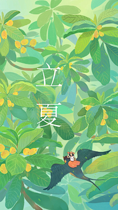 别叫我坚果采集到场景