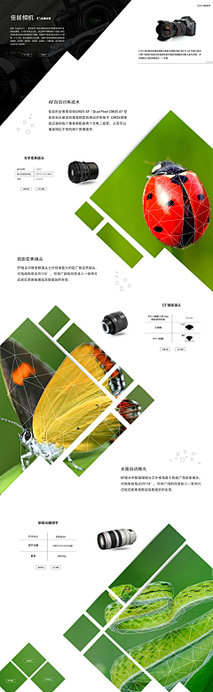 穆千寻采集到网页设计