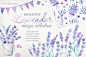 水彩薰衣草，花束，花圈，设计元素 Watercolor Lavender Design Pack - Watercolor Lavender Design Pack.jpg