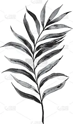 手绘棕榈树