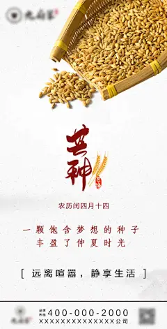 地产芒种节气海报--源文件下载