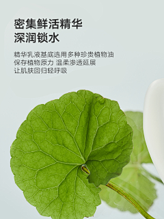 发呆的大橘_Arlin采集到质地素材