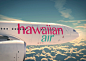 Hawaiian Airlines Rebrand on Behance