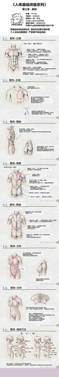 风来得时候采集到人体基础知识讲解