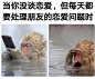 太形象了 ​ ​​​​