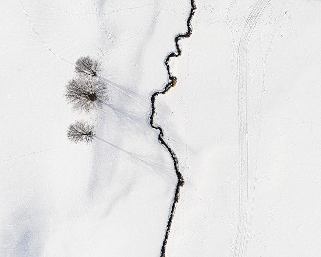 The White Series : T...
