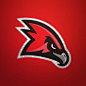 Red Hawk Concept on Behance: 