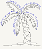 How to Draw a Palm Tree: Step 14