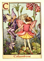 最喜欢的Cicely Mary Barker系列(6) 字母表的妖精们  - ulokohime - 101只虎斑猫