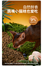 高爷家全价烘焙猫粮添加益生元后生元成猫幼猫鸡肉猫粮-tmall