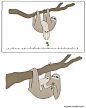 Liz Climo 清新手绘小故事
