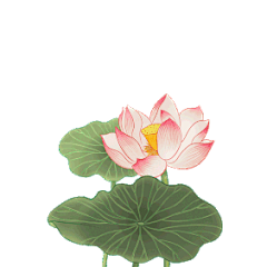 野小野采集到GIF