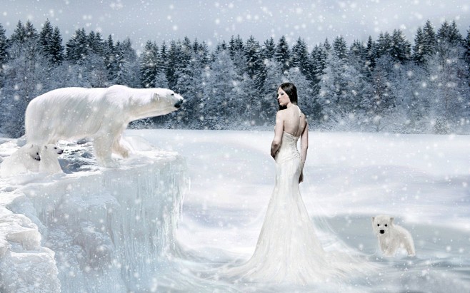 polar bears snow wom...