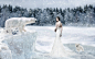 polar bears snow women wallpaper (#1205701) / Wallbase.cc