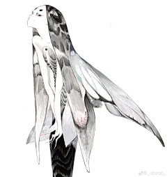 蛾蛾✖️6 ​​​​