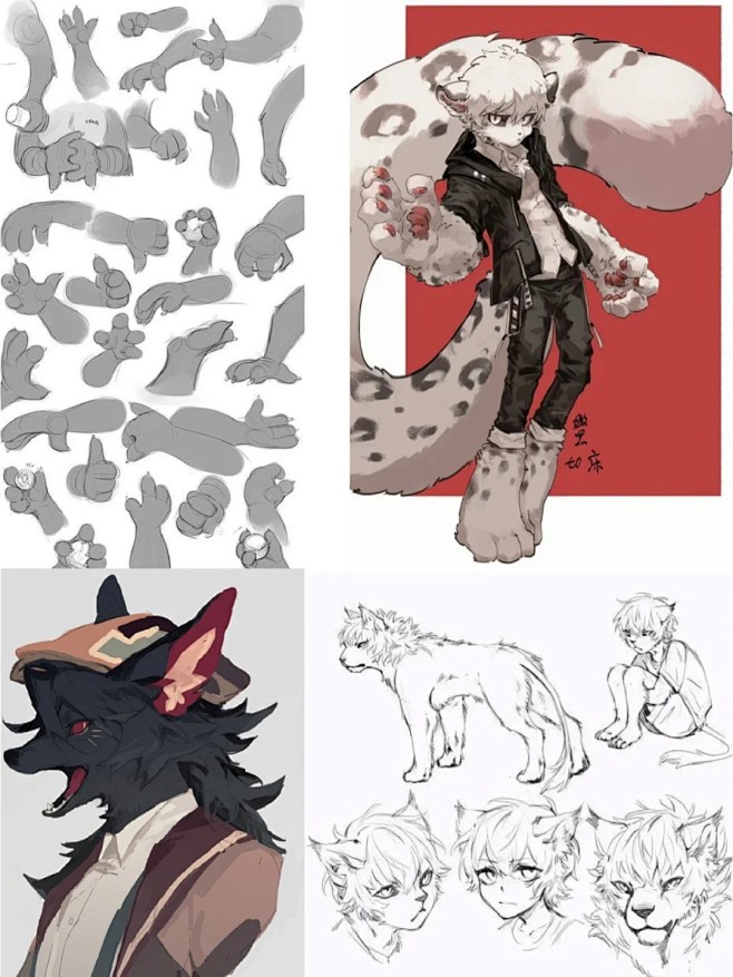 Furry兽设素材参考_福瑞控画手看过来！_6_王不留情_来自小红书网页版