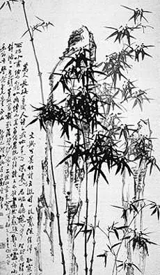 [清·郑燮《竹石》]
咬定青山不放松，
立根原在破岩中。
千磨万击还坚劲，
任尔东西南北风。