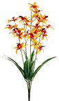 Silk Plants Direct Dendrobium Orchid Bush (Pack of 12) - Talisman traditional-artificial-flowers-plants-and-trees