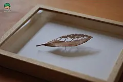 树叶上面的震撼微雕雕塑作品╭★肉丁网
