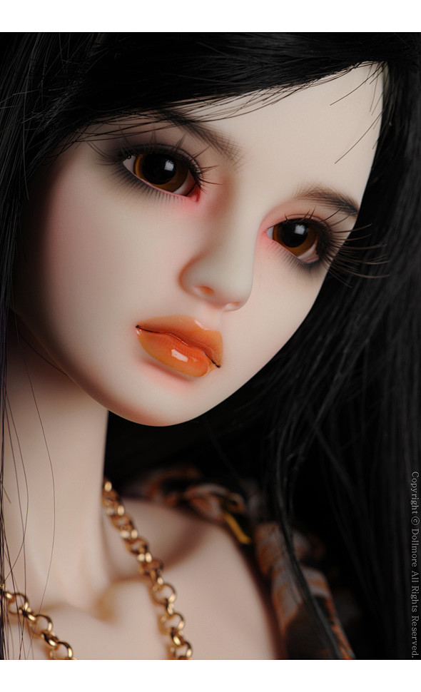 dollmore [Model Doll...