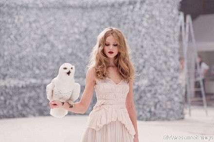 Frida Gustavsson早在20...