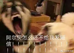 一坨表情包
微博超话_少女的王座