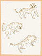 零基础插画教程｜小动物合集｜上色教程