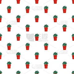 花盆,仙人掌,式样,几何形状,常春藤,壁纸,芦荟,植物群,天竺葵,草