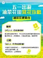 旅游婺源乡村油菜花攻略实景涂鸦清新划重点小红书配图