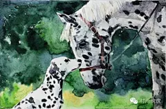 超喜欢的动物插画 - 手绘＆涂鸦 - 一起动画吧 - Powered by Discuz!