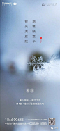 2019霜降地产稿精选入围作品揭晓 : 百家齐鸣，各路精彩！