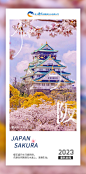 日本 樱花季 风景 海报
