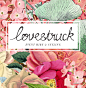 lovestruck : Oh Babushka was asked to review the existing lovestruck logo, with the purpose of developing fresh, complimentary branding. The handwritten logo's colour palette was simplified to a strong black, and a vintage floral collage was designed to s