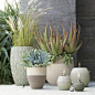 Andre Planter  (and coordinating items) | Crate and Barrel