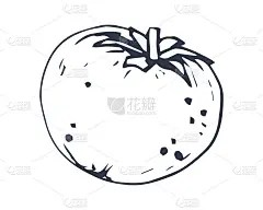 一个孤立在白色背景上的番茄。平面向量插图。