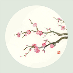 Jin·oо金金采集到朝花夕拾