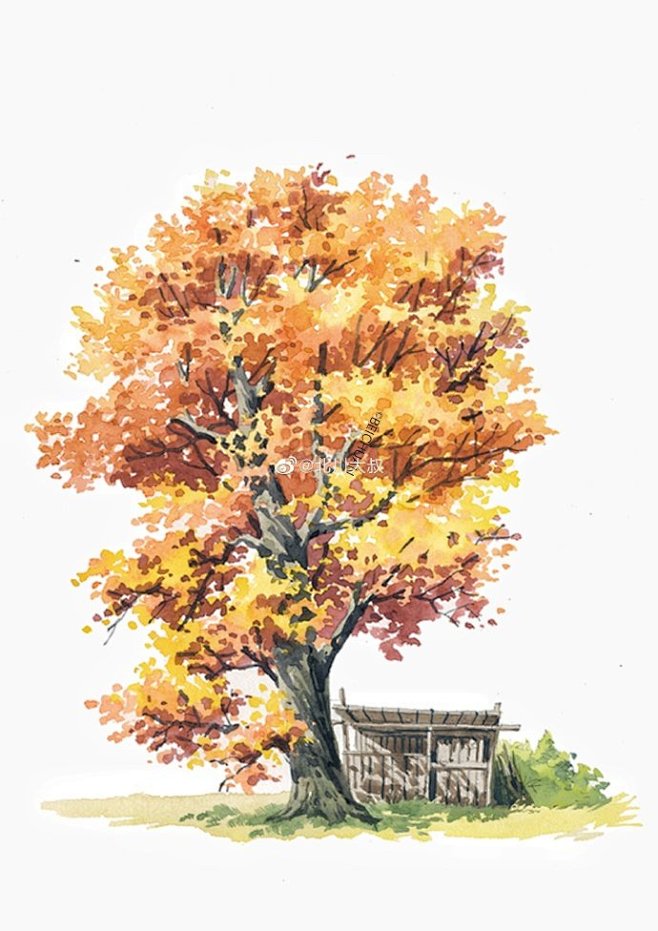 树合集～ via.北川大叔
#水彩##手...