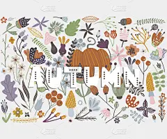 秋卡上有南瓜、花、叶、枝。矢量插图与文字秋天。