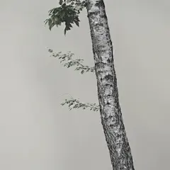 有什么ps技巧让照片看上去高大上？ - 知乎
