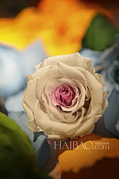 【图】碰撞出魔力与炫彩！2014年日内瓦高级钟表展(SIHH)卡地亚预展作品：Ballon Bleu de Cartier系列腕表！_第3页_珠宝表_海报时尚网