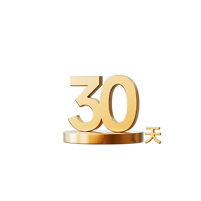 30天 金属字 立体字 icon