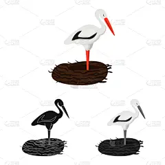 鹳,鸟类,图标,分离着色,欧洲,国内著名景点,自然,传统,波兰,收集