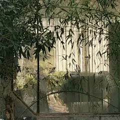 @一百个大不刘   背景图