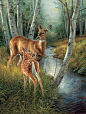 Birch Creek ~ Rosemary Millette