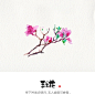 《春》·盼；木木の小马林野；#水彩花卉#玉兰花#水彩#
 花开有时，韶华易逝，莫负满园春色。