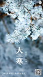 大寒节气祝福动态海报