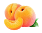 枇杷 杏 桃