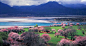 Bing Image Archive: 西藏林芝风景如画的花谷 (© TAO Images Limited/Getty Images)(Bing China)
