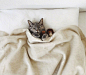 Good night ​​​​